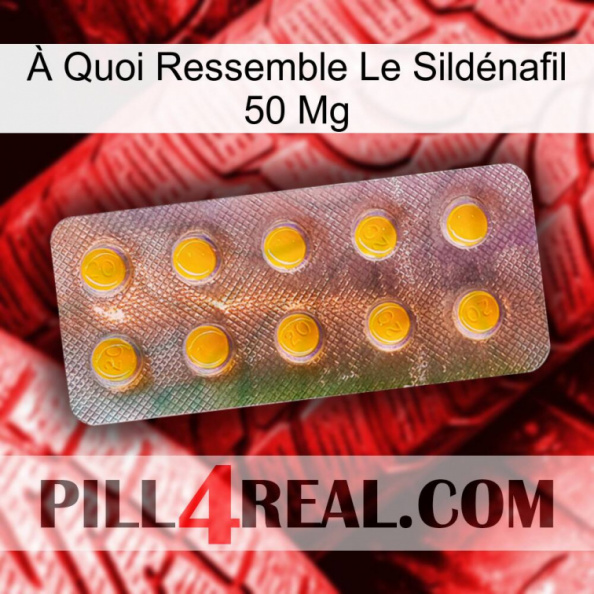 À Quoi Ressemble Le Sildénafil 50 Mg new11